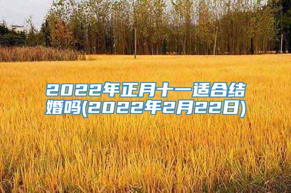 2022年正月十一适合结婚吗(2022年2月22日)