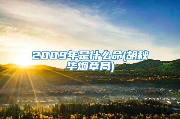 2009年是什么命(胡秋华烟草局)