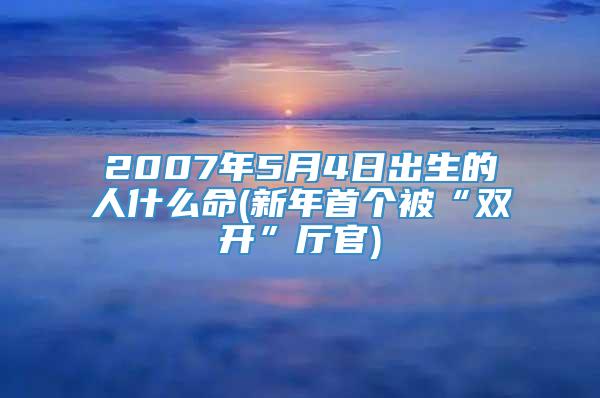 2007年5月4日出生的人什么命(新年首个被“双开”厅官)