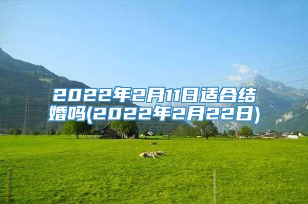 2022年2月11日适合结婚吗(2022年2月22日)