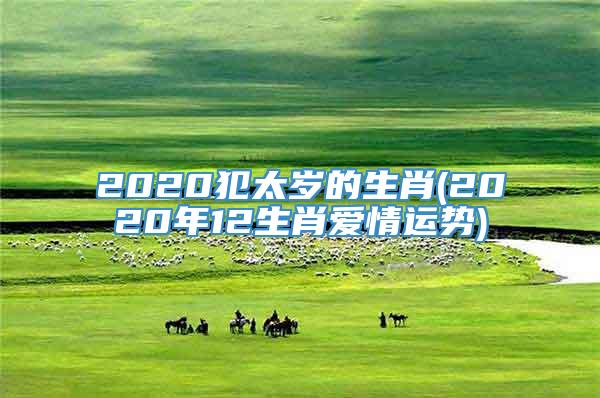 2020犯太岁的生肖(2020年12生肖爱情运势)