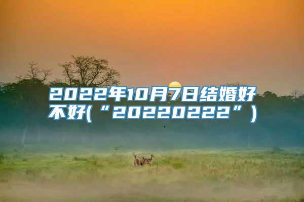 2022年10月7日结婚好不好(“20220222”)