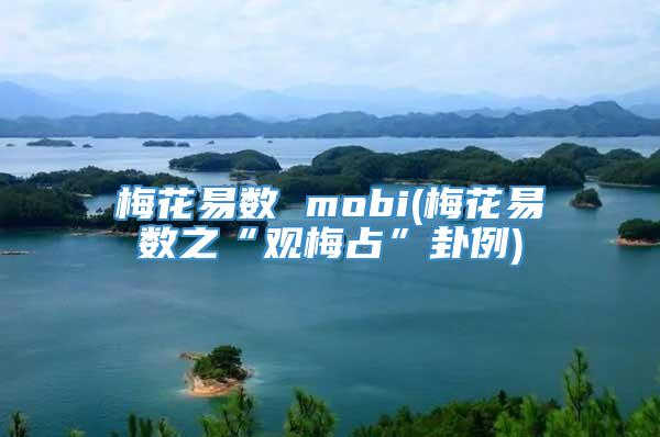 梅花易数 mobi(梅花易数之“观梅占”卦例)