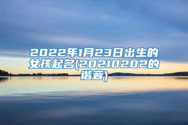 2022年1月23日出生的女孩起名(20210202的谐音)