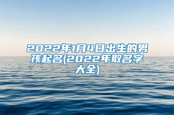 2022年1月4日出生的男孩起名(2022年取名字大全)