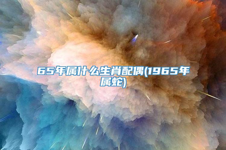 65年属什么生肖配偶(1965年属蛇)