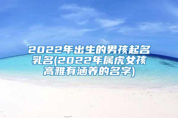 2022年出生的男孩起名乳名(2022年属虎女孩高雅有涵养的名字)