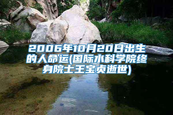 2006年10月20日出生的人命运(国际水科学院终身院士王宝贞逝世)