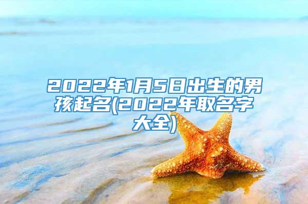 2022年1月5日出生的男孩起名(2022年取名字大全)