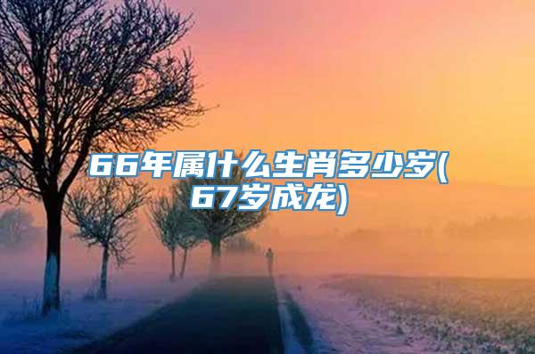 66年属什么生肖多少岁(67岁成龙)