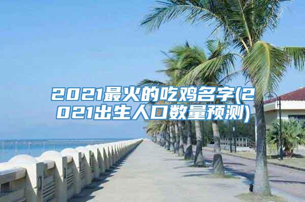 2021最火的吃鸡名字(2021出生人口数量预测)