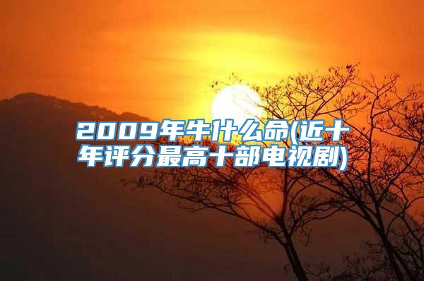 2009年牛什么命(近十年评分最高十部电视剧)