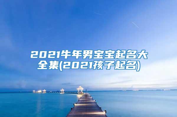 2021牛年男宝宝起名大全集(2021孩子起名)