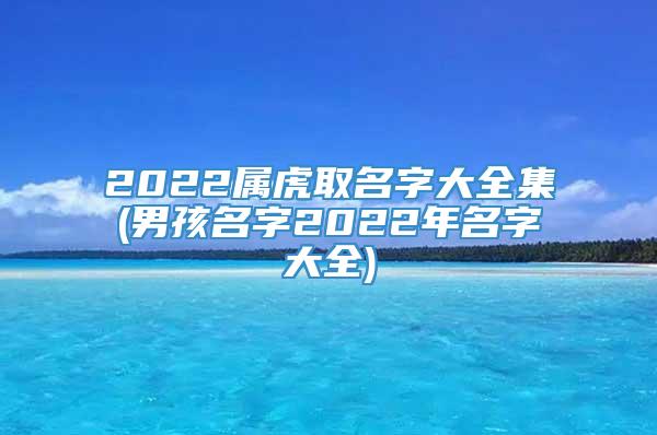 2022属虎取名字大全集(男孩名字2022年名字大全)