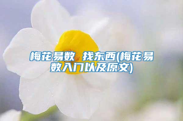 梅花易数 找东西(梅花易数入门以及原文)