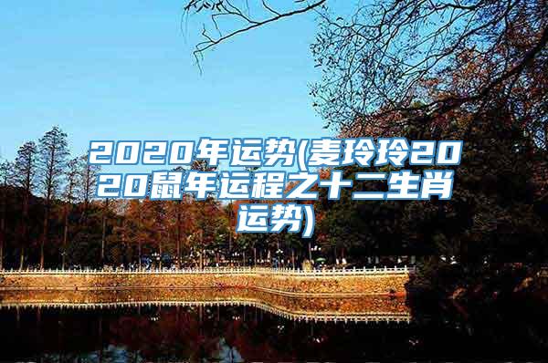 2020年运势(麦玲玲2020鼠年运程之十二生肖运势)