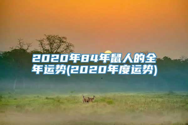 2020年84年鼠人的全年运势(2020年度运势)