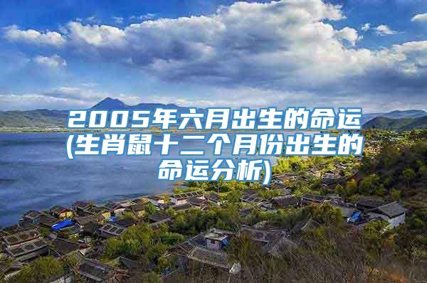 2005年六月出生的命运(生肖鼠十二个月份出生的命运分析)