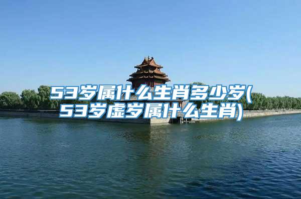 53岁属什么生肖多少岁(53岁虚岁属什么生肖)