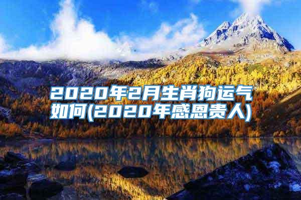 2020年2月生肖狗运气如何(2020年感恩贵人)