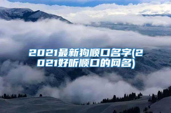 2021最新狗顺口名字(2021好听顺口的网名)