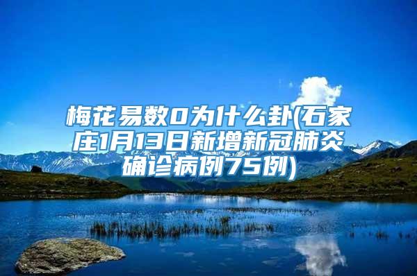 梅花易数0为什么卦(石家庄1月13日新增新冠肺炎确诊病例75例)