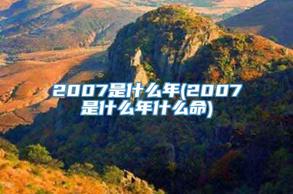 2007是什么年(2007是什么年什么命)