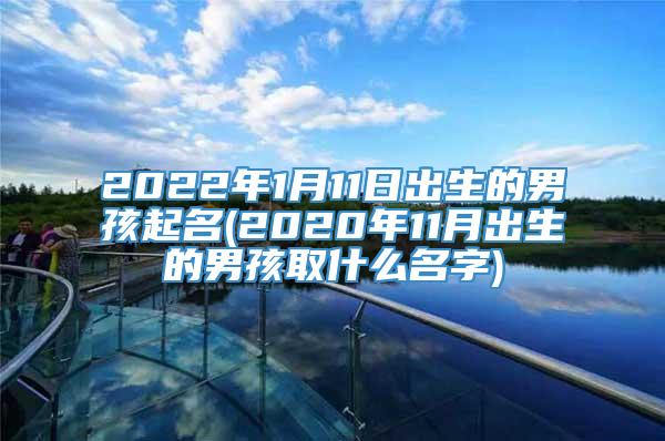 2022年1月11日出生的男孩起名(2020年11月出生的男孩取什么名字)