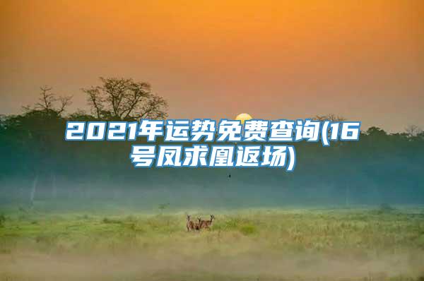 2021年运势免费查询(16号凤求凰返场)