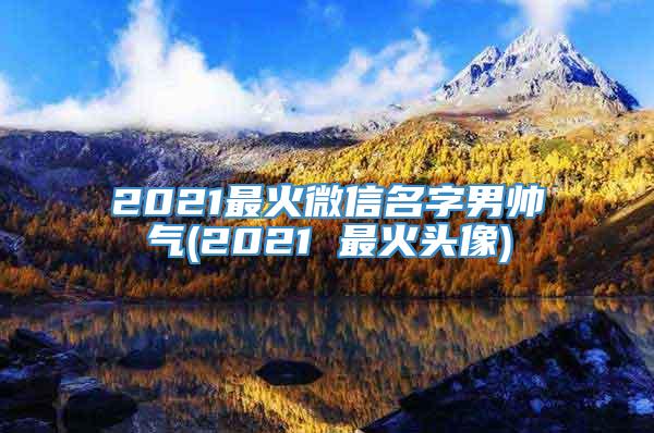 2021最火微信名字男帅气(2021 最火头像)