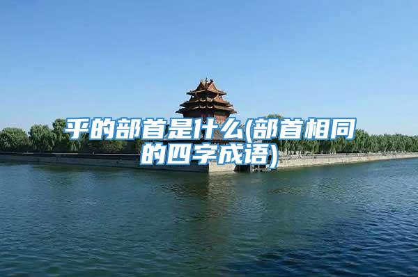 乎的部首是什么(部首相同的四字成语)