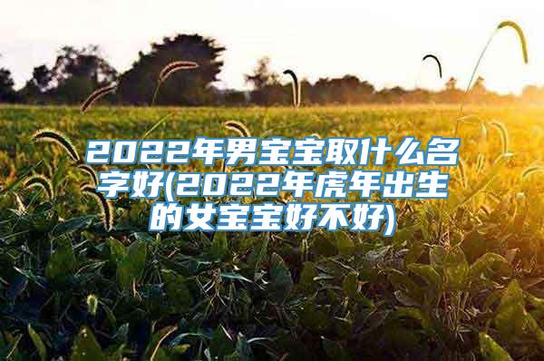 2022年男宝宝取什么名字好(2022年虎年出生的女宝宝好不好)