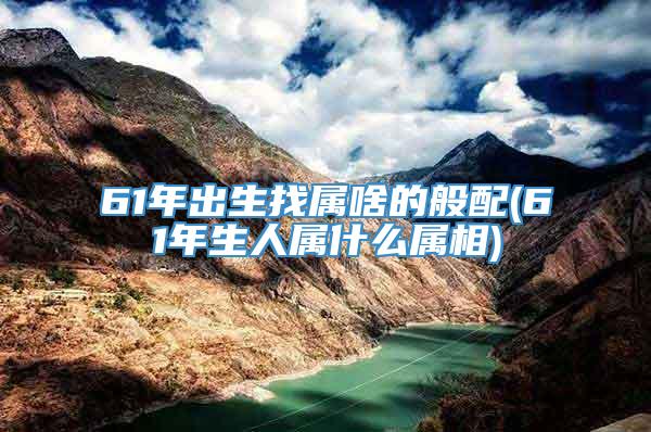 61年出生找属啥的般配(61年生人属什么属相)