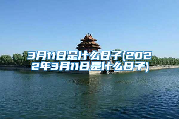 3月11日是什么日子(2022年3月11日是什么日子)