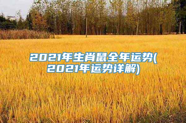 2021年生肖鼠全年运势(2021年运势详解)