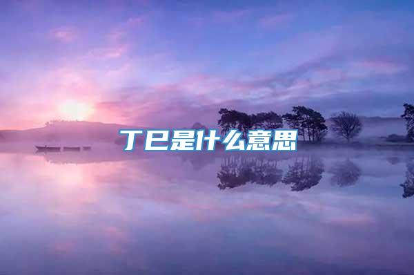 丁巳是什么意思