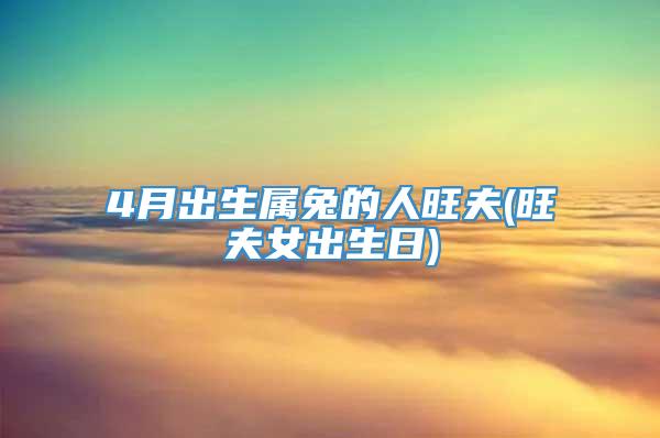 4月出生属兔的人旺夫(旺夫女出生日)