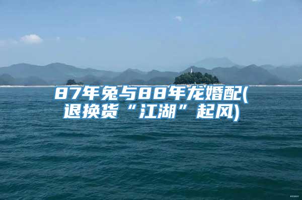 87年兔与88年龙婚配(退换货“江湖”起风)
