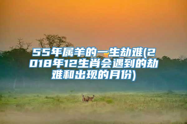 55年属羊的一生劫难(2018年12生肖会遇到的劫难和出现的月份)