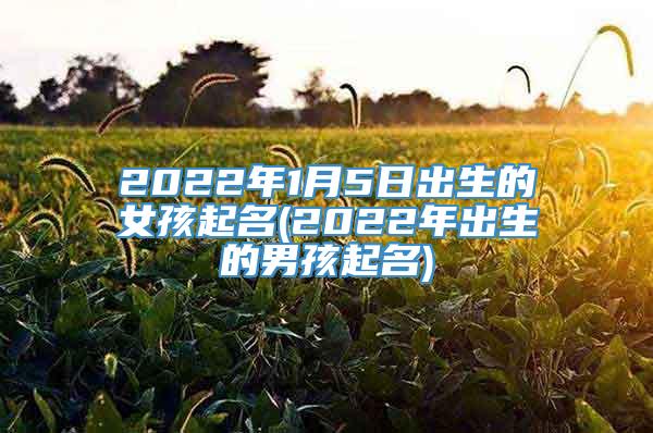 2022年1月5日出生的女孩起名(2022年出生的男孩起名)