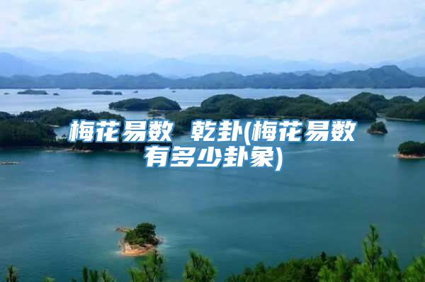 梅花易数 乾卦(梅花易数有多少卦象)