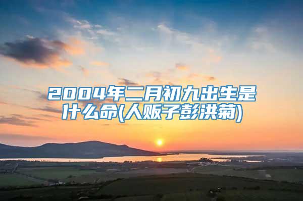 2004年二月初九出生是什么命(人贩子彭洪菊)