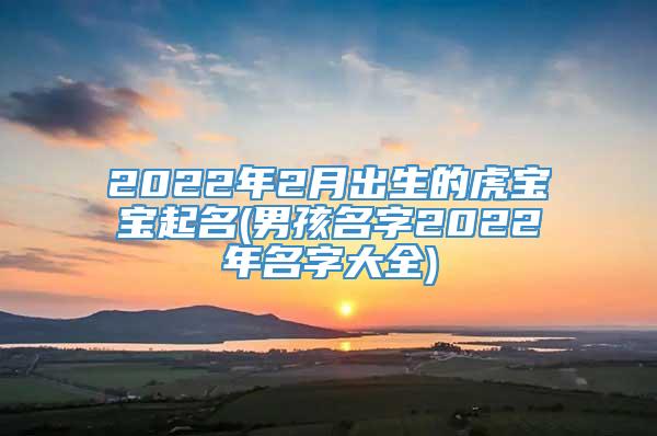 2022年2月出生的虎宝宝起名(男孩名字2022年名字大全)