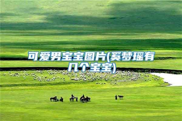 可爱男宝宝图片(奚梦瑶有几个宝宝)
