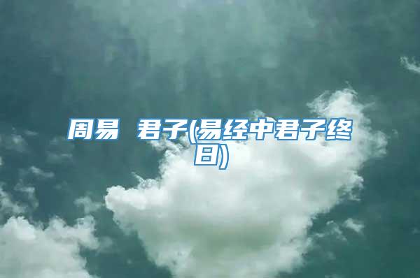 周易 君子(易经中君子终日)