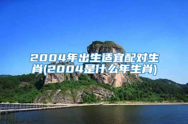 2004年出生适宜配对生肖(2004是什么年生肖)