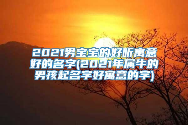 2021男宝宝的好听寓意好的名字(2021年属牛的男孩起名字好寓意的字)