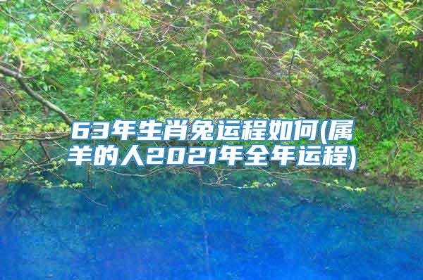 63年生肖兔运程如何(属羊的人2021年全年运程)