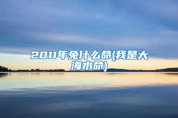 2011年兔什么命(我是大海水命)