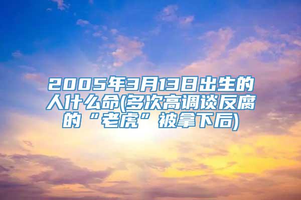 2005年3月13日出生的人什么命(多次高调谈反腐的“老虎”被拿下后)